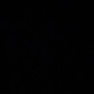 Meet your Posher, Daisy